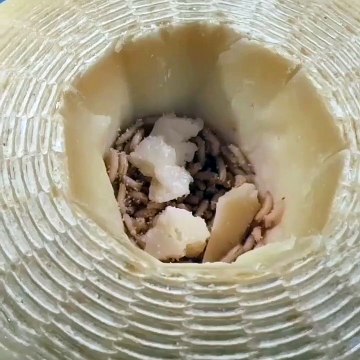 Des plats dégoûtants pour le musée de nourritures dégoûtantes à Nantes