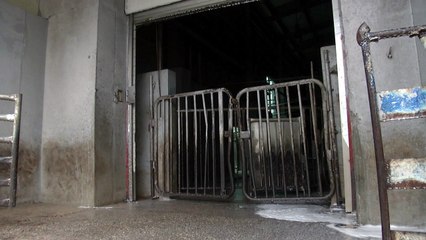 이동 중지 또 연장...농가·업계 커지는 불안·고통 / YTN