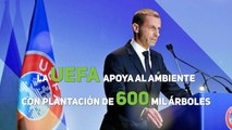 La UEFA apoya al ambiente con plantación de 600 mil árboles
