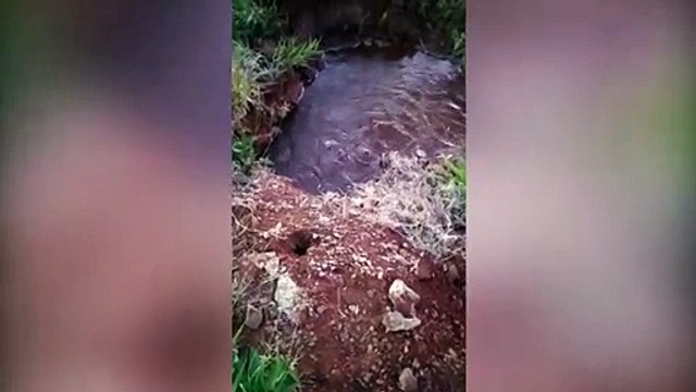 Grande volume de água vazando em rua no Santo Onofre gera reclamações de internautas