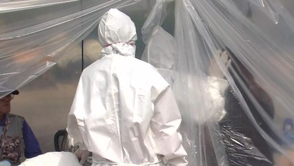 강화 돼지열병 의심농가 확진...누적 9번째 / YTN