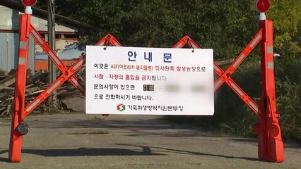 강화 돼지열병 의심농가 확진...누적 9번째 / YTN