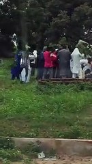 Au cimetière, des abeilles débarquent en pleine inhumation: Voici la suite...