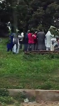 Au cimetière, des abeilles débarquent en pleine inhumation: Voici la suite...