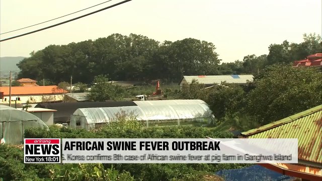 S. Korea confirms 8th case of African swine fever at pig farm in Ganghwa Island