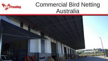 Commercial Bird Netting - Brisbane, Sydney, Melbourne, Darwin Australia
