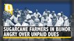Sugarcane Farmers in UP's Bijnor Protest Over Unpaid Dues by Sugar Mills