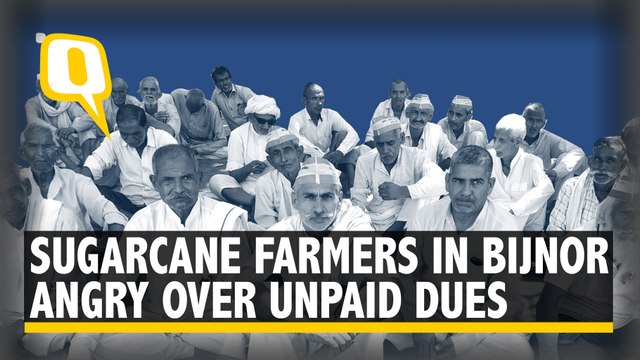 Sugarcane Farmers in UP's Bijnor Protest Over Unpaid Dues by Sugar Mills