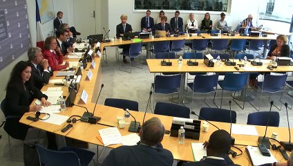Commission des affaires européennes : Droit européen de la concurrence - Jeudi 26 septembre 2019