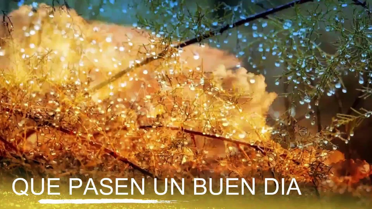Conoce El Tiempo de Hoy Viernes 27 de Septiembre de 2019