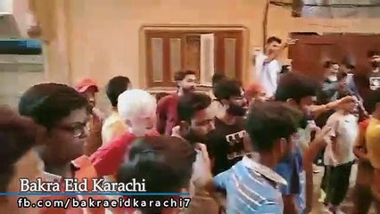 Qurbani Of Bull Part 1 | 2019 | Eid - e - Qurban