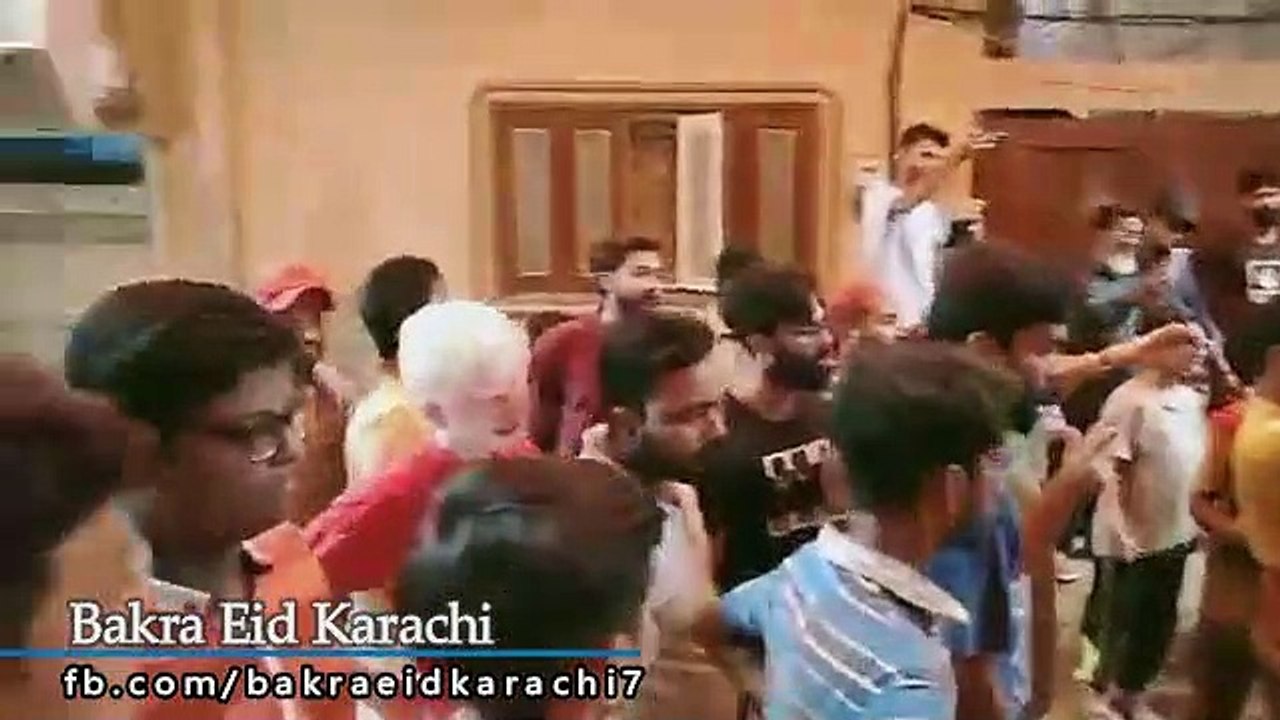Qurbani Of Bull Part 1 | 2019 | Eid - e - Qurban