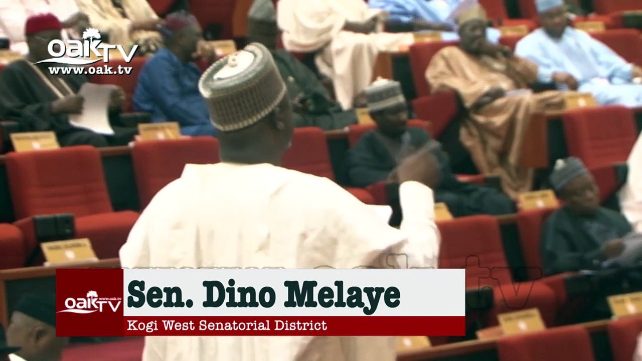 Dino Melaye blows hot over Nigeria's educationa...