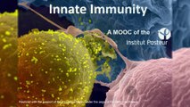 FUN MOOC : Innate Immunity