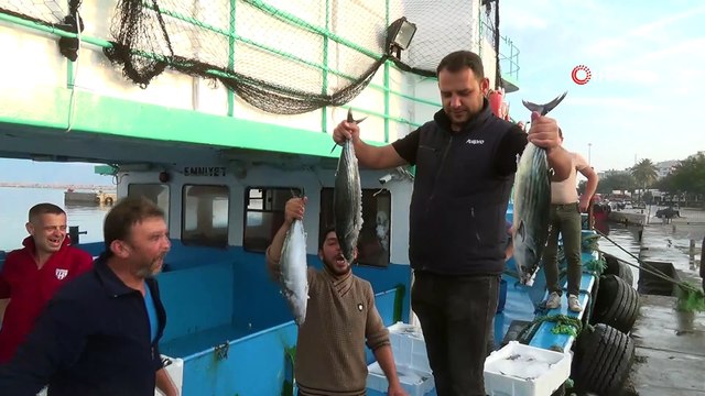 Bandırma Körfezi’nde balık bereketi...Hamsinin kilosu 15 liraya geriledi