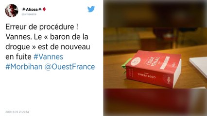 Morbihan. Opération coup de poing contre la drogue à Vannes