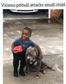 Cette vidéo d'un petit garçon et d'un chien qui se font un câlin va faire envoler votre cœur telle une nuée de papillons blancs