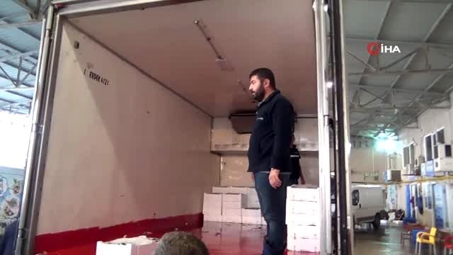 Bandırma Körfezi'nde balık bereketi...Hamsinin kilosu 15 liraya geriledi