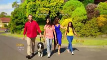 Neighbours 27th September 2019 (8200)