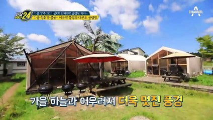 준비할 게 없다!  多 있는 럭셔리 '글램핑장'이 있다?!