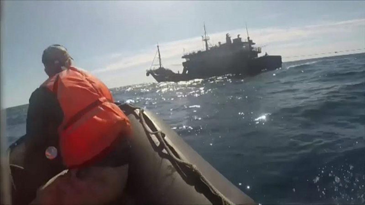 Grenzschutz nimmt 262 Wilderer aus Nordkorea fest