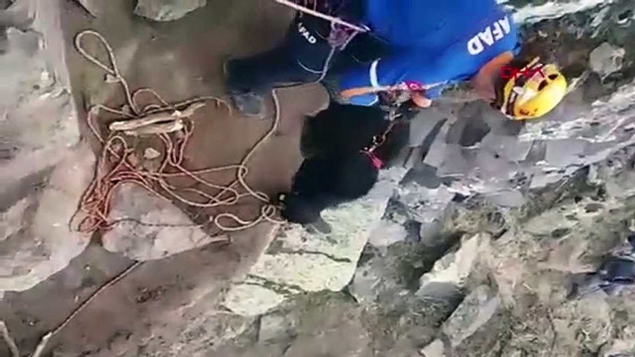 Kayalıklarda mahsur kalan keçileri AFAD kurtardı
