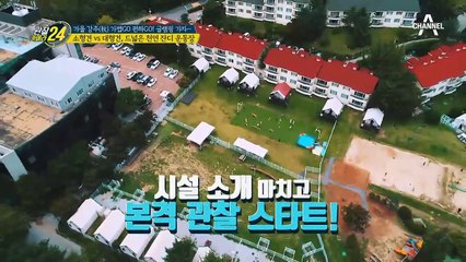 ☞애견인 주목☜ 반려견에도 휴식을! 천연잔디가 있는 애견 글램핑장 大공개!