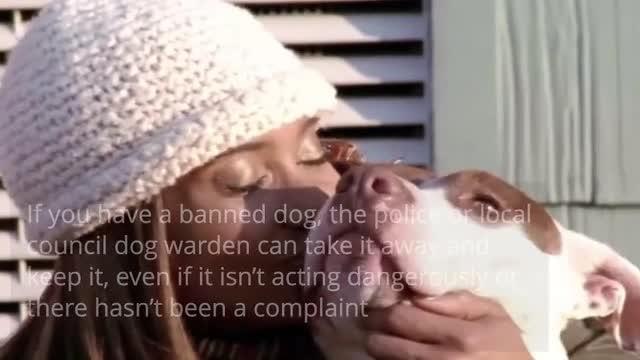 Advice to dog owners