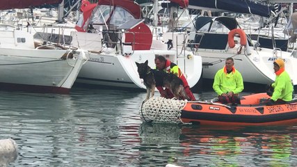 Exercice de recherche de corps en mer SDIS 29