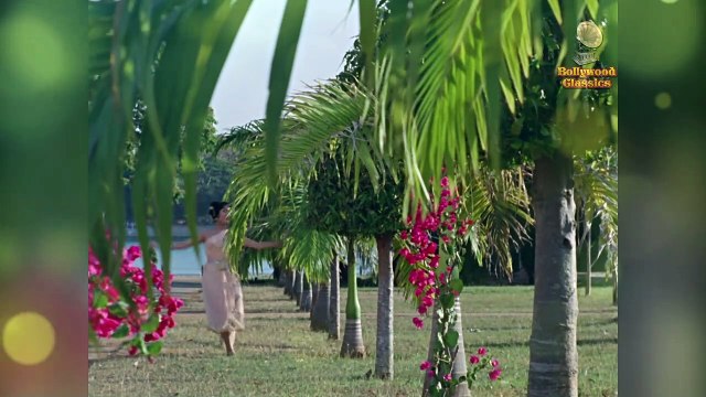 Itna Hai Tumse Pyar Lyrical | Suraj | Rajendra Kumar, Vyjayanthimala | Mohd Rafi | Shankar Jaikishan