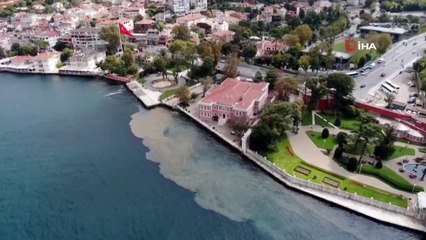 Boğaz Sularını Kaplayan Çamur, Merak Uyandırdı