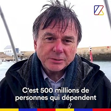 Tara Expéditions revient de 2 ans et demi dans le Pacifique pour étudier les coraux, les poumons de l'océan