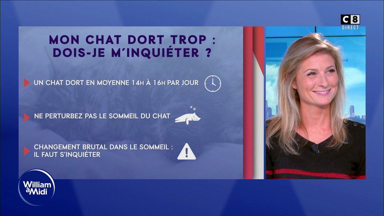 Mon chat dort trop : dois-je m'inquiéter ?