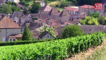 La Cave de Lugny signe des crémants de Bourgogne à la personnalité très marquée