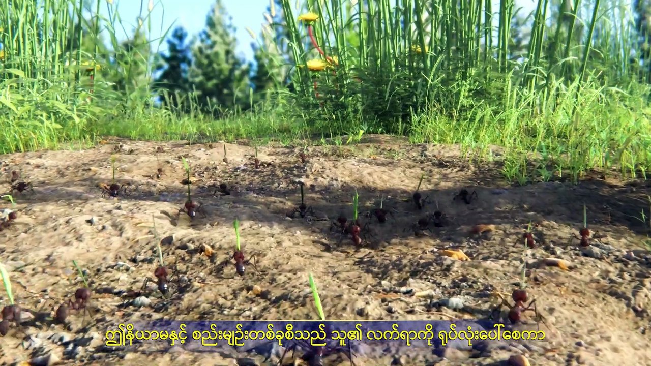 Best Myanmar Gospel Music Documentary (အရာခပ်သိမ်းအပေါ် အချုပ်အခြာအာဏာ စွဲကိုင်ထားသူ) ဘုရားသခင် ကမ္ဘာမြေကြီးကို ဖန်ဆင်းခြင်း