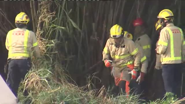 Hallado el cuerpo del bebé en un cañaveral del río Besós