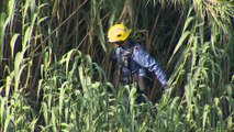 Hallan muerto al bebé arrojado por su padre al río Besòs