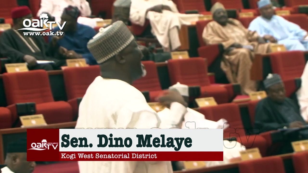 Our analogue lawmakers should be updated digitally - Dino Melaye