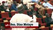 Dino Melaye blows hot over Nigeria's educational sector