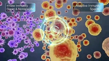 Medical Animations Video | 3D Medical Animations | Pharmaceutical Technologies Video  - Equisolve