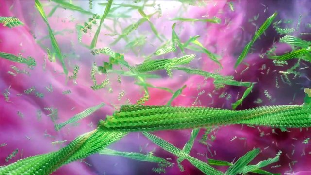 3D Medical ANIMATION | MEDICAL VIDEO PRODUCTION | 3D Medical Explainer Video - Equisolve