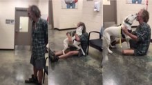 O reencontro de um sem-abrigo com o seu cão que estava perdido