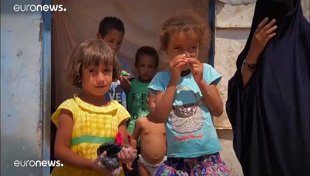 Террористы поневоле