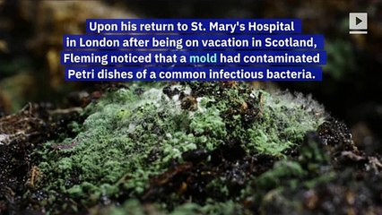 This Day in History: Penicillin Is Discovered (Saturday, September 28)