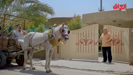 كومه دي | ماكو طريقة للتعامل مع صياح بائع الغاز.. المسكين راح يتجنن