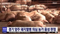 경기 양주 돼지열병 의심 농가 음성 판정