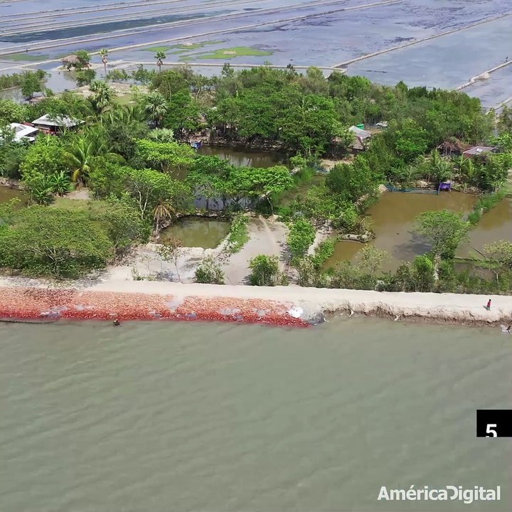 Los mares y glaciares en riesgo debido al cambio climático, ¿hasta cuándo resistirá el planeta?