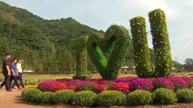 [날씨] 중부 맑고 늦더위, 남부 비...가을꽃 활짝 / YTN