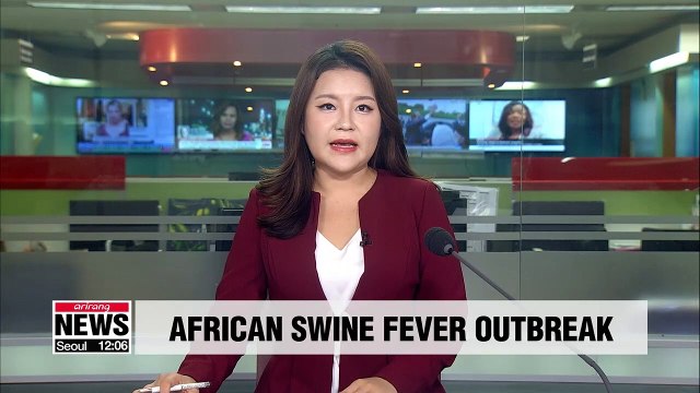 Suspected case of African swine fever in Yangju confirmed negative