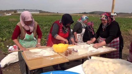 Devrekani'de 5. Patates Hasat Şenliği düzenlendi